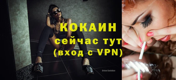 винт Сатка
