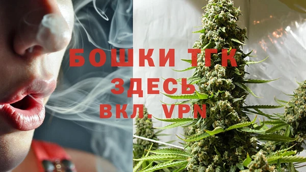 индика Баксан