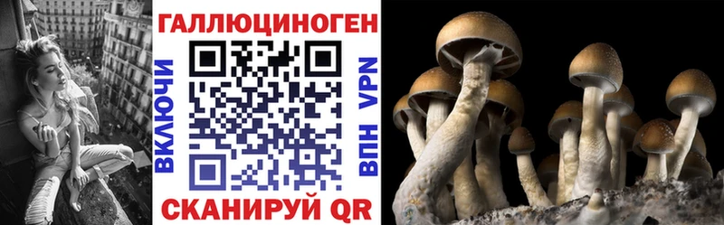 Галлюциногенные грибы Psilocybe  blacksprut tor  Мышкин 